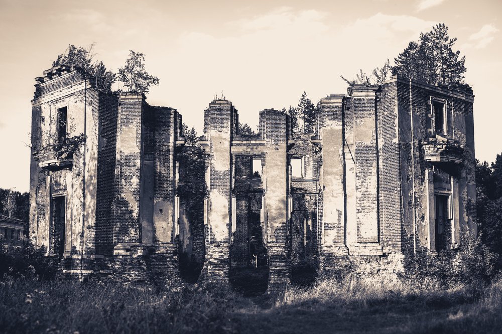 Photograph by Анастасия Васина