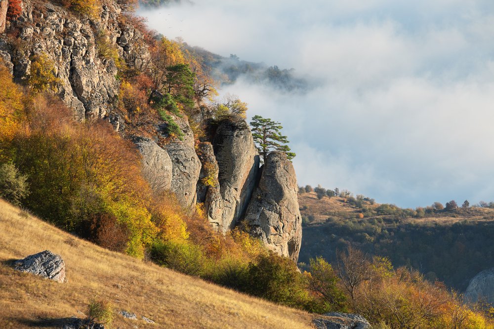Photograph by Светлана Сагайдачная