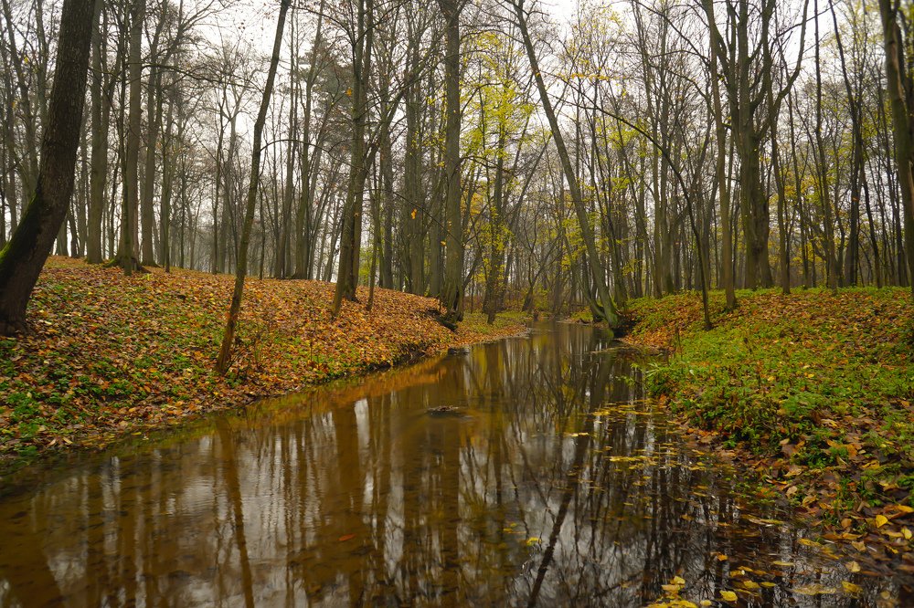Photograph by Владислав Шигера