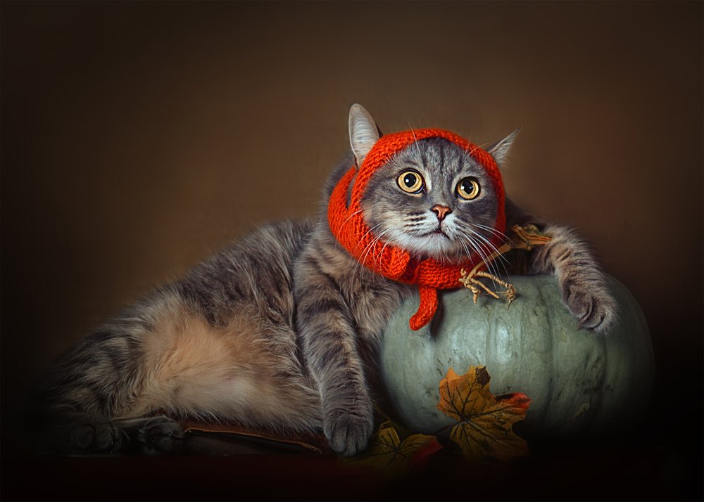 Photograph by Татьяна Самойлова