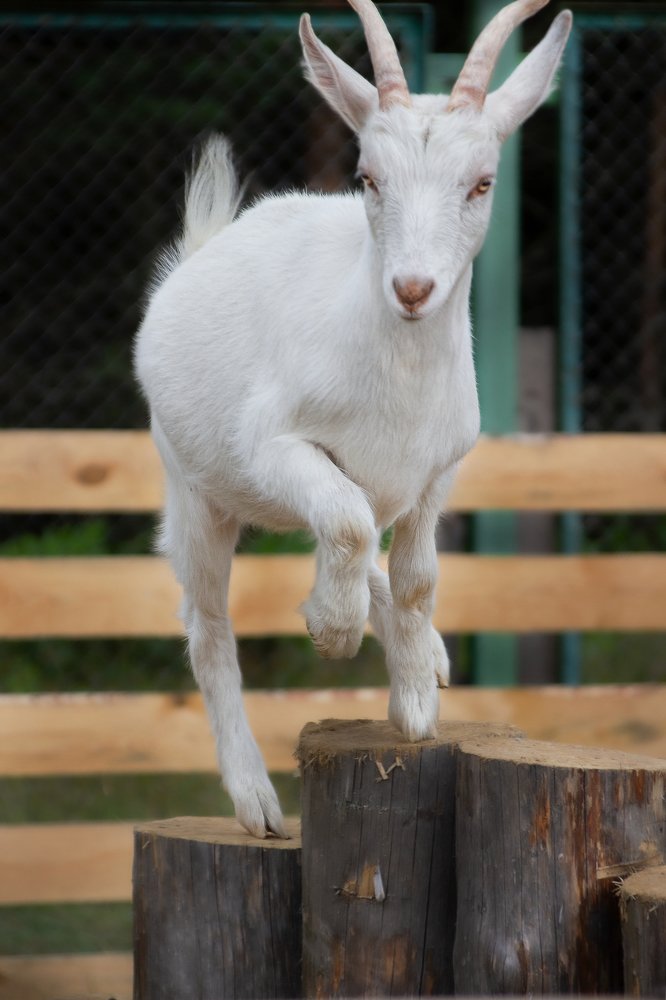 Photograph by Оксана Казакова