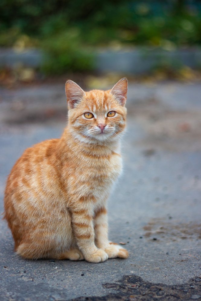 Photograph by Оксана Казакова