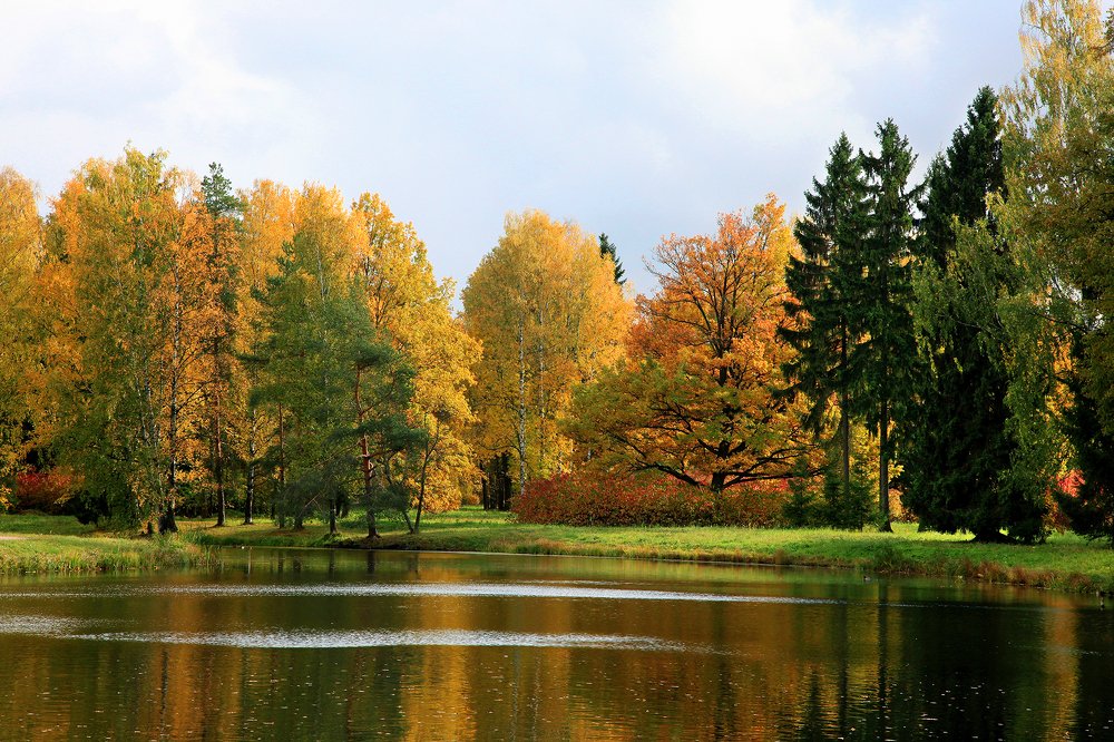 Осень в Павловске