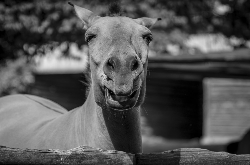 Фотография автора Владимир Брызгунов