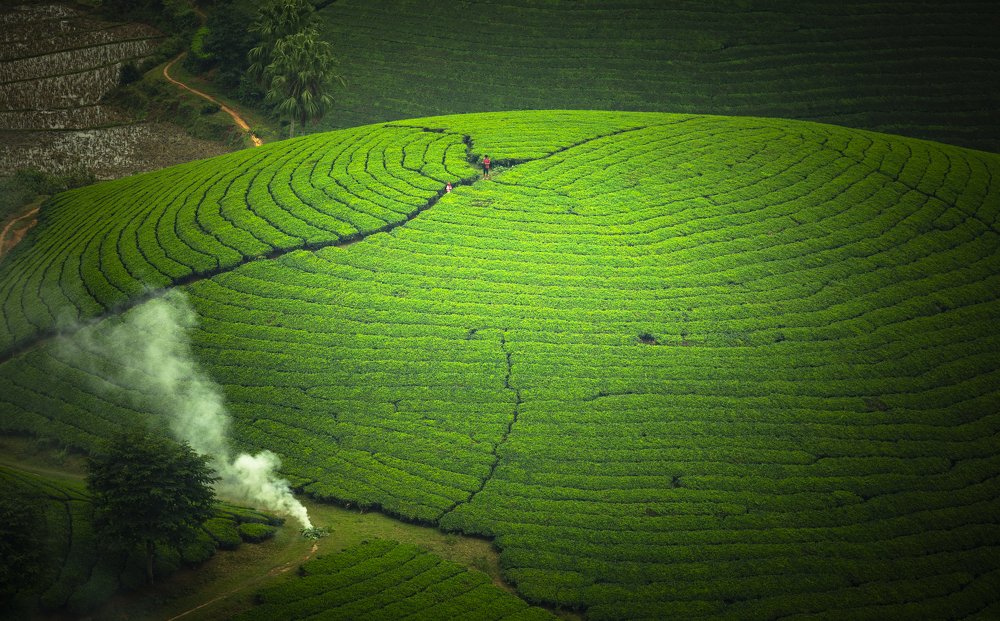 Photograph by Dương Nguyễn