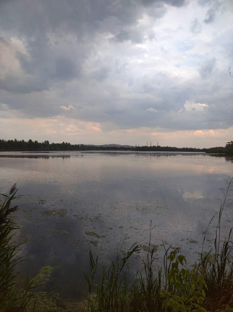 Фотография автора Снежанна Оголева