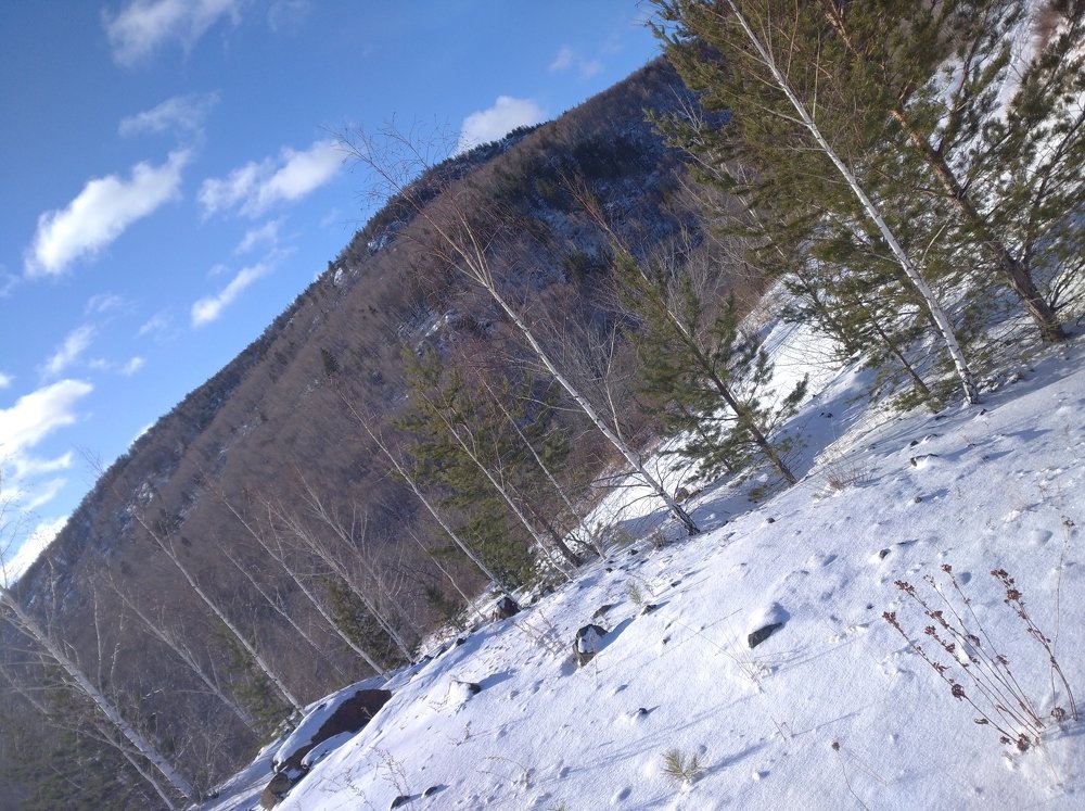 Фотография автора Снежанна Оголева