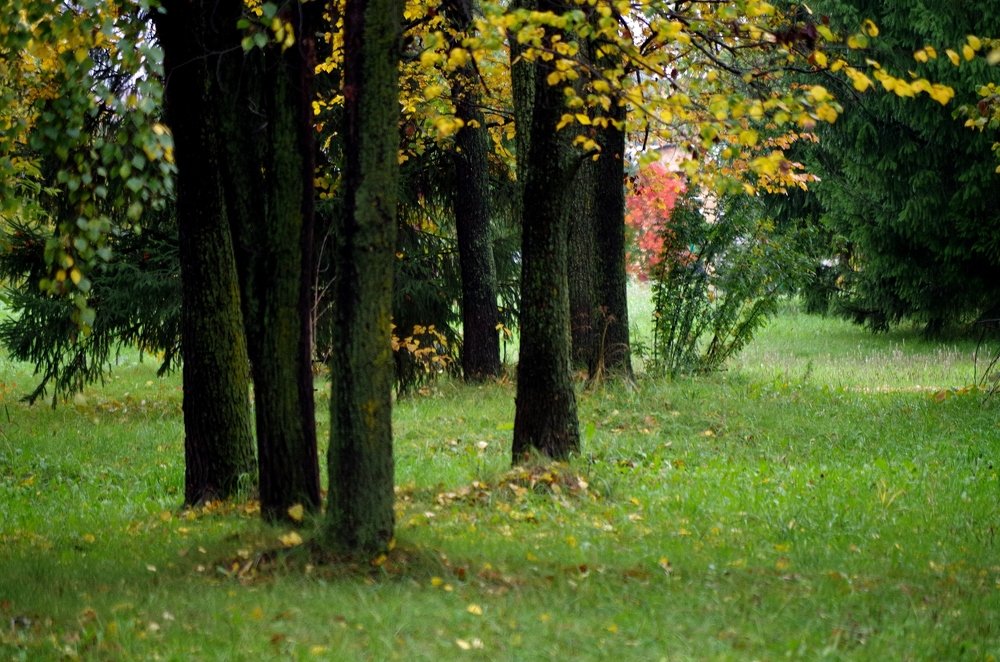 Photograph by Михаил Курзанцев