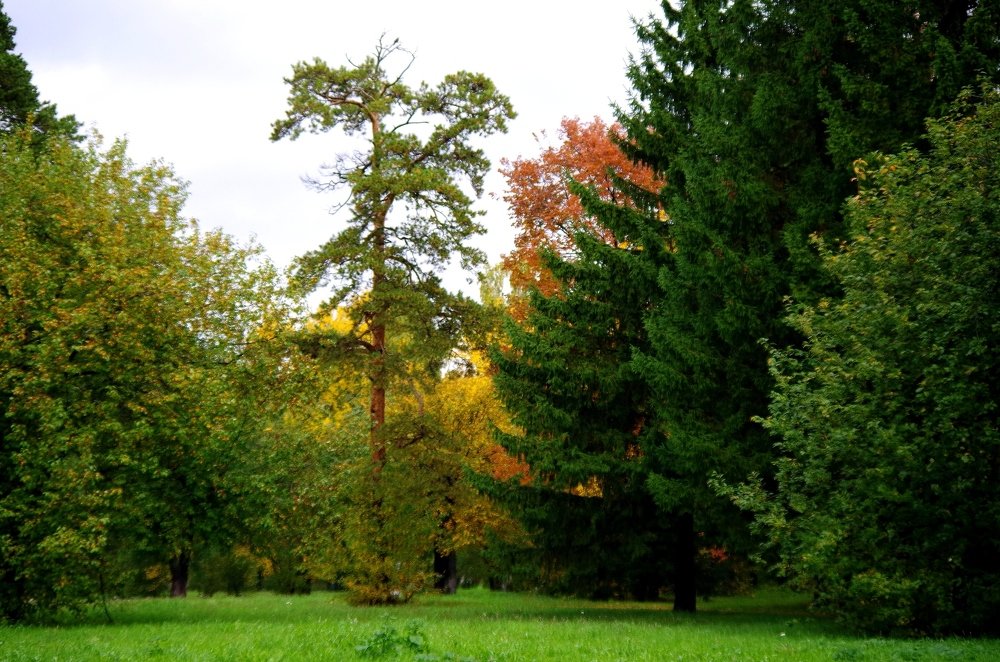 Photograph by Михаил Курзанцев