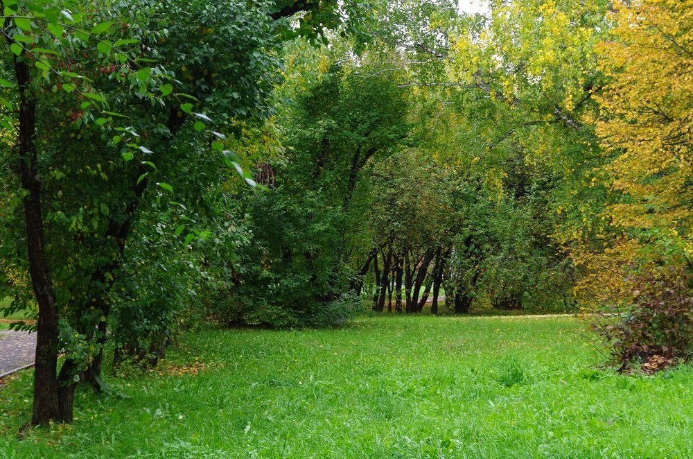 Photograph by Михаил Курзанцев