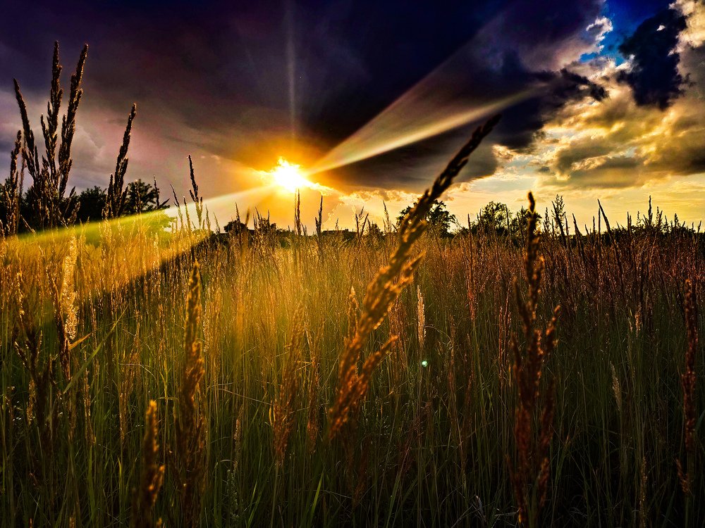 Фотография автора Андрей Филипович