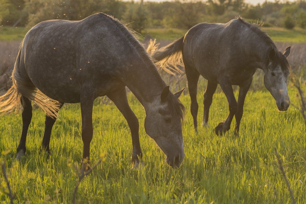 Фотография автора Игорь Баранов