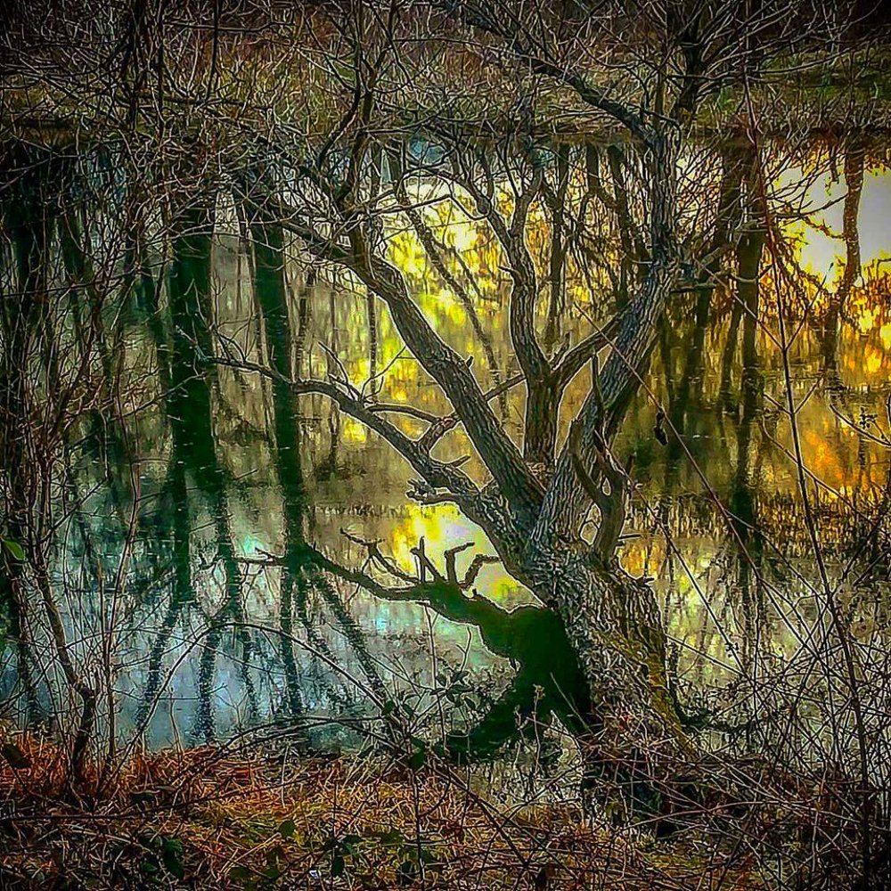 Photograph by Milena Partsuneva