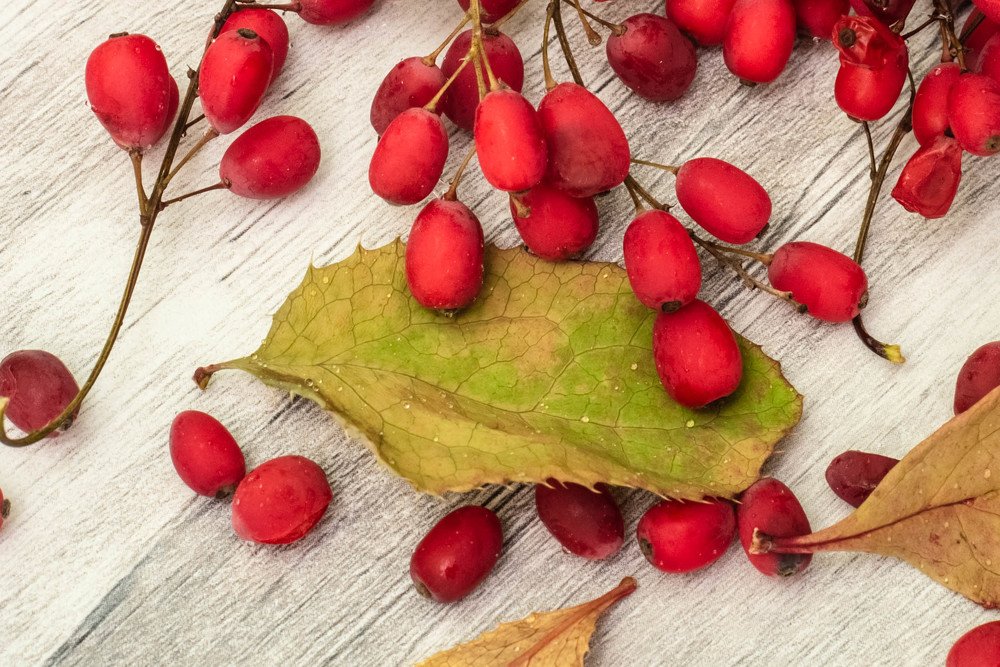 Photograph by Кадырова Анастасия