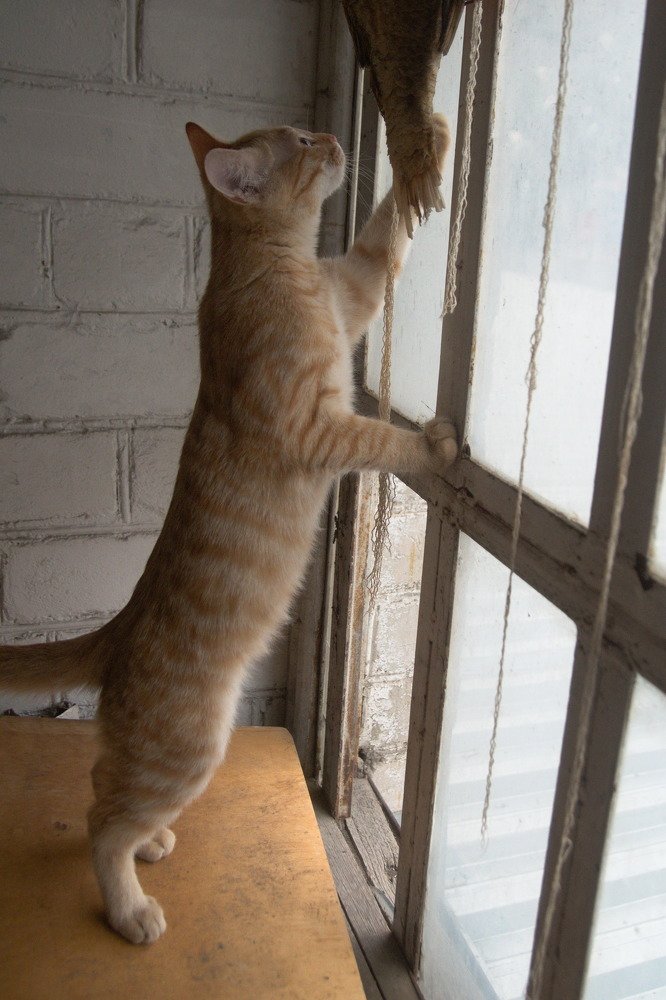 Photograph by Башлаев Константин