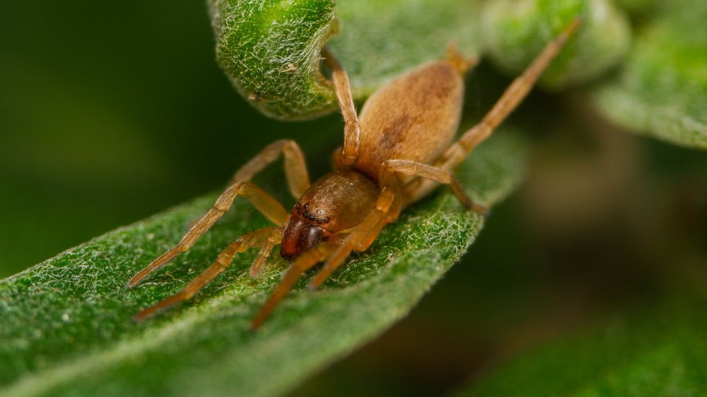 Photograph by Виталий Бодрягин