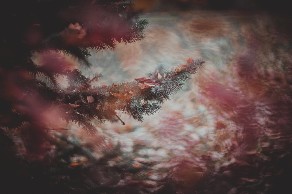 Photograph by Veronika Trubnikova