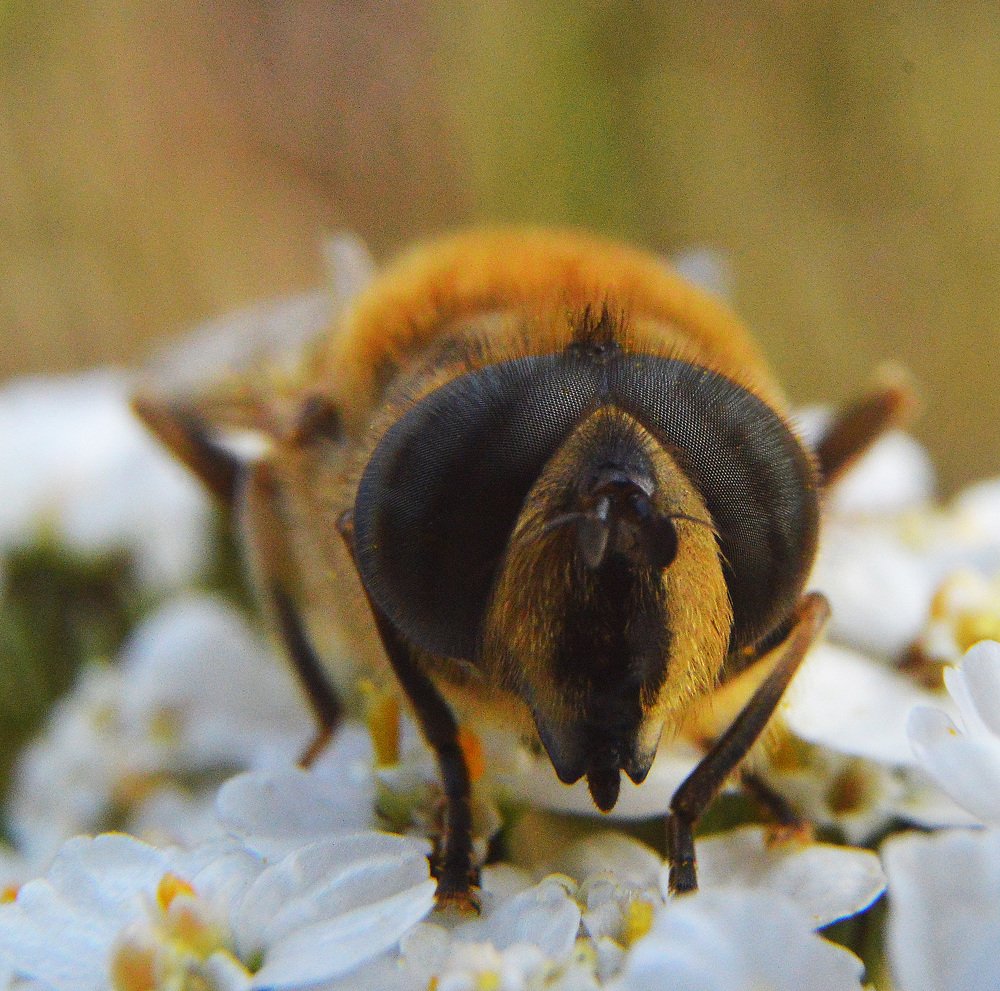 Был солнечный день