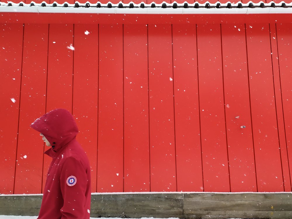 Photograph by Алёна Гильмуллина