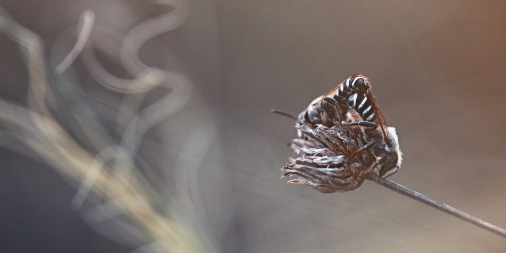 Photograph by Игорь Лавров