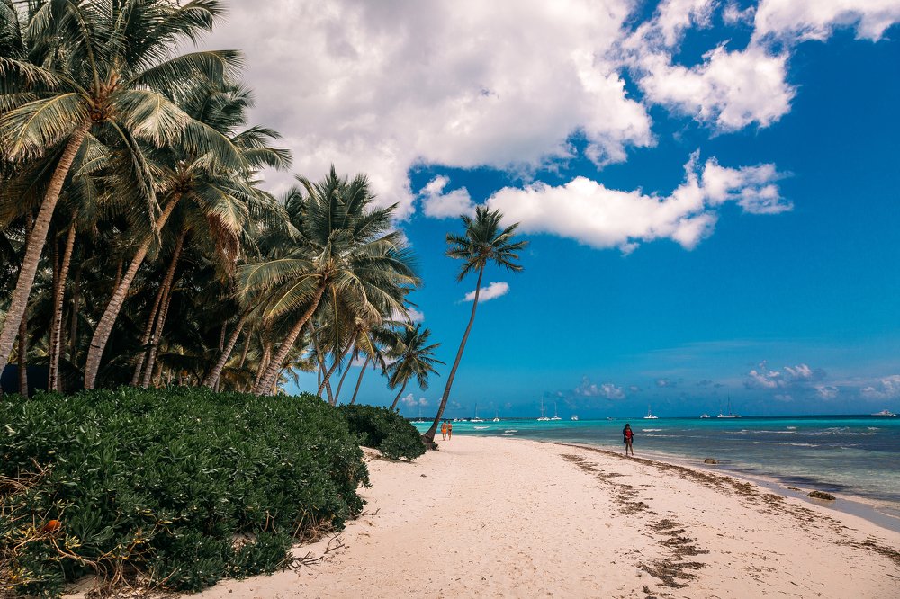 Photograph by Дмитрий Трепольский