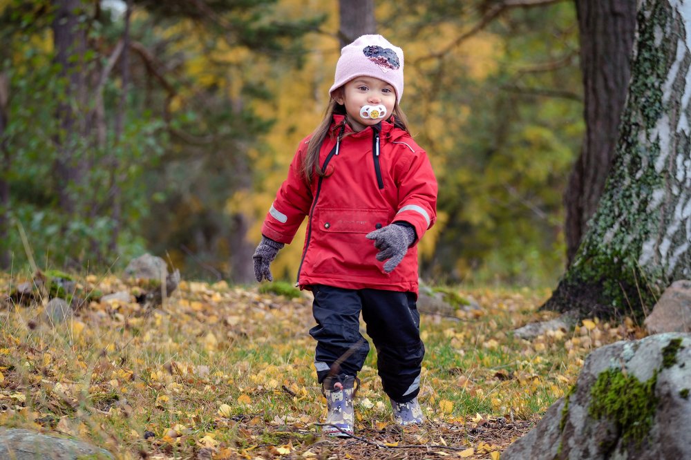 Photograph by Daniel Beckman