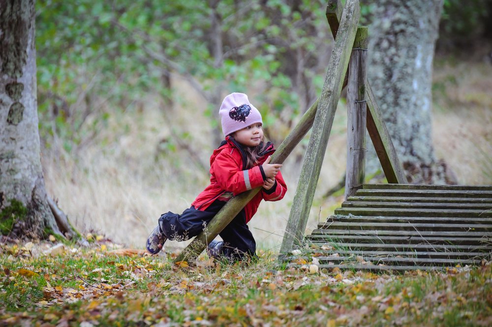 Photograph by Daniel Beckman