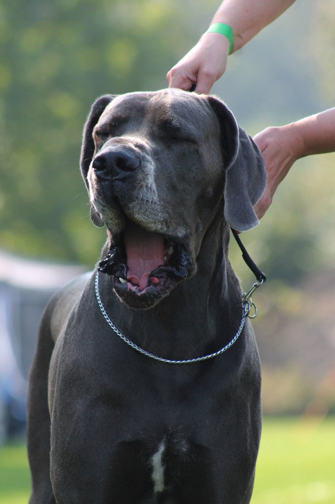 Photograph by Диана Ульянцева