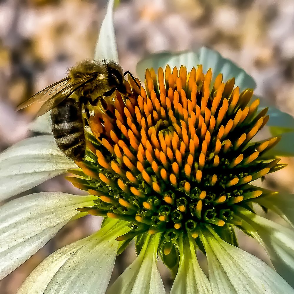 Photograph by Hans-Jürgen Hinz