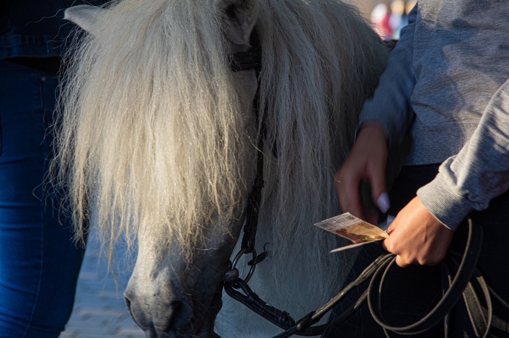 Доверие к людям