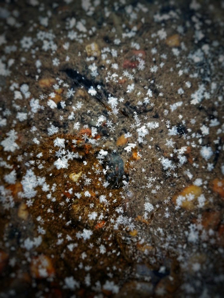 Фотография автора Евгения Снигирева