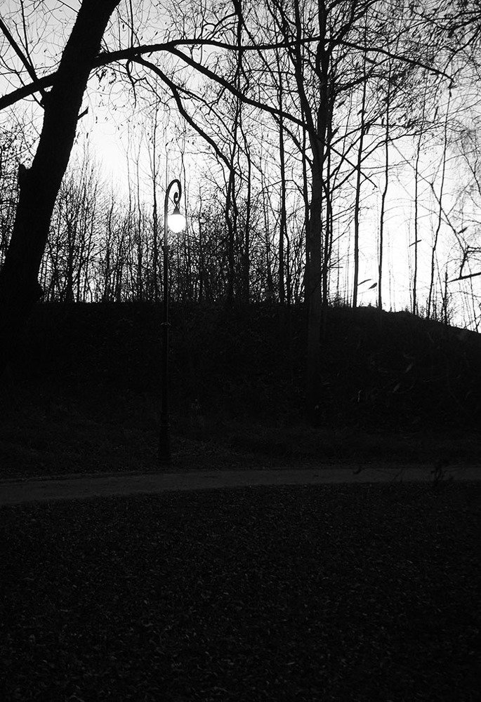 Photograph by Корженевская Лариса Анатольевна