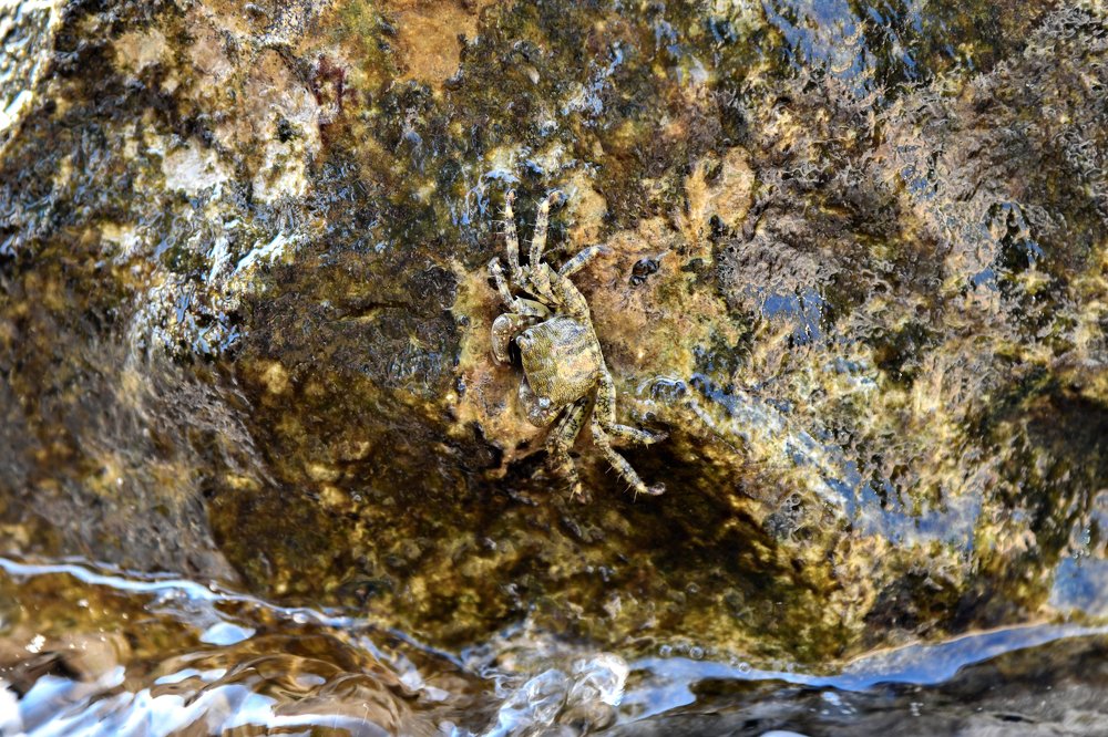 Фотография автора Юлия Носова