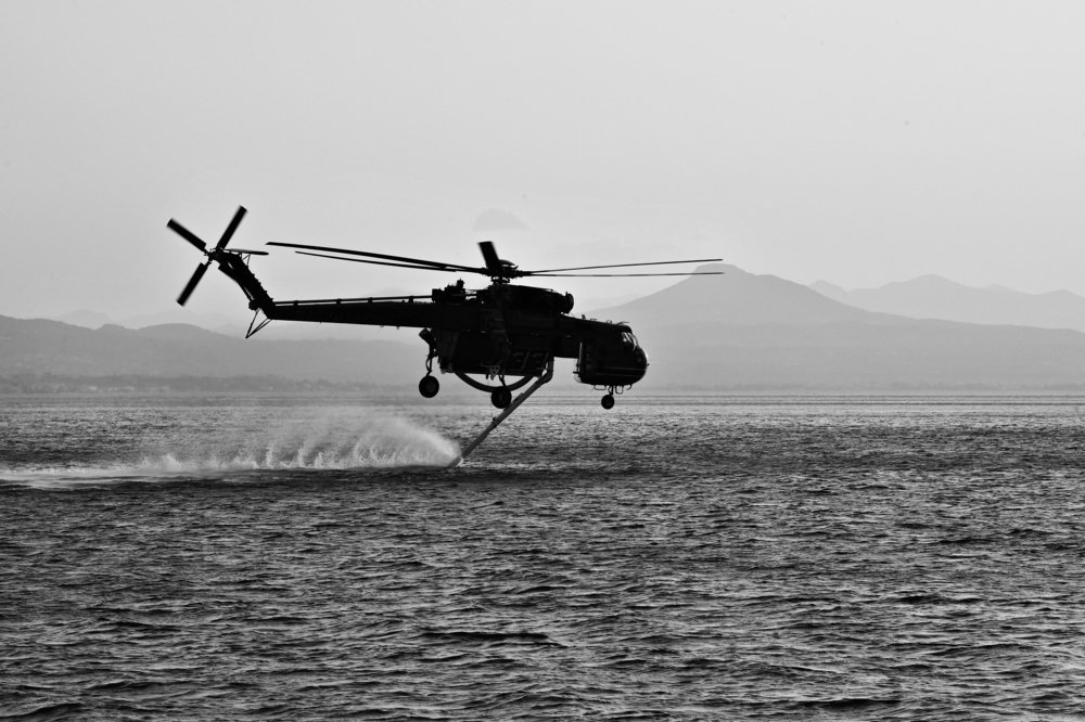 Фотография автора Юлия Носова