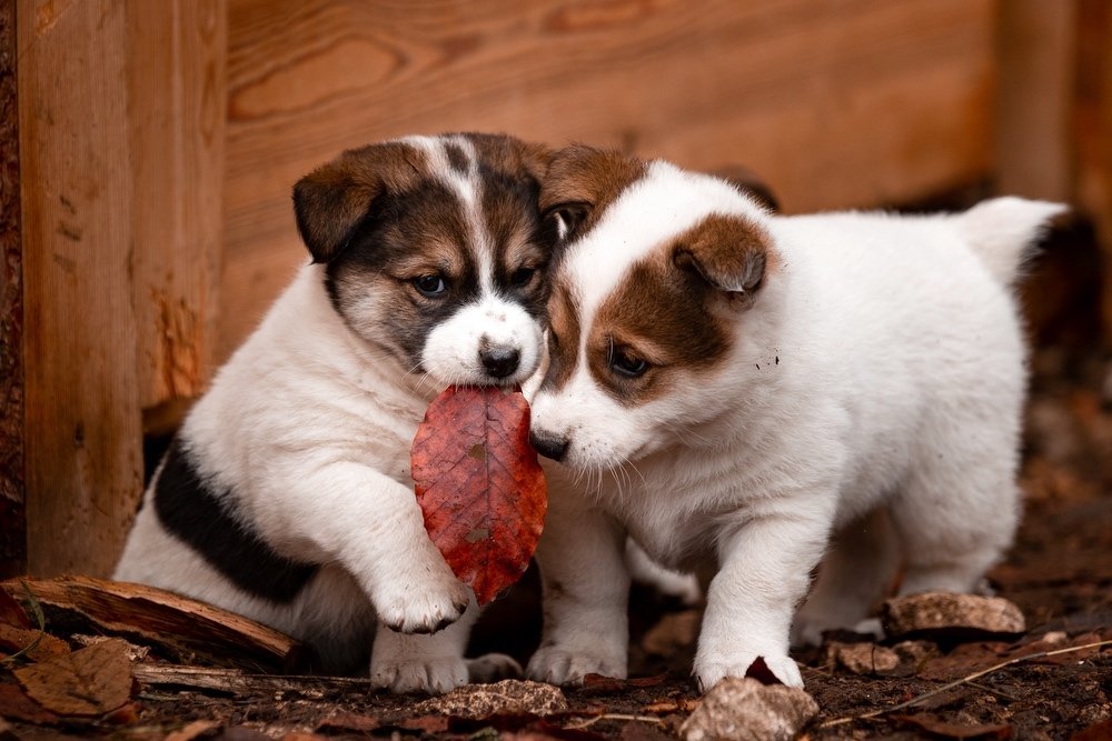 Photograph by Арнольд