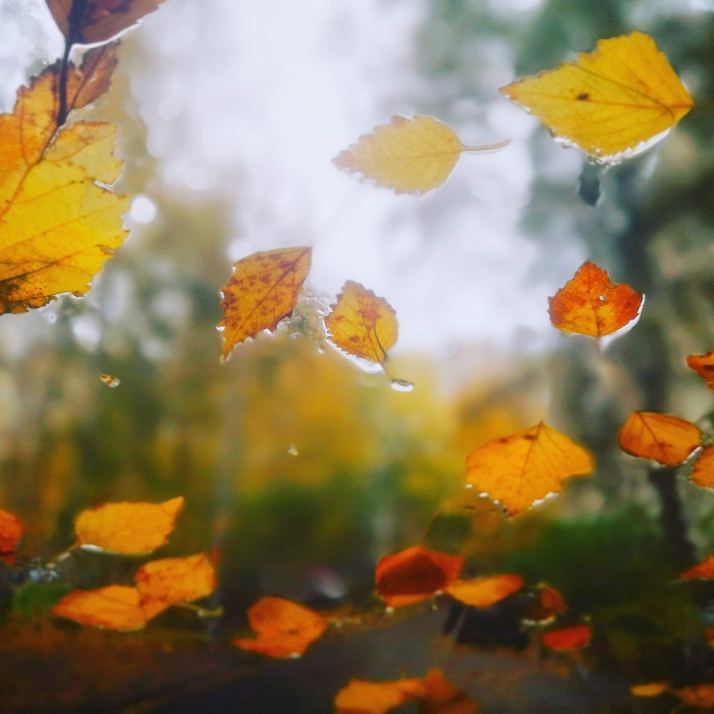 Photograph by Ольга Темкина