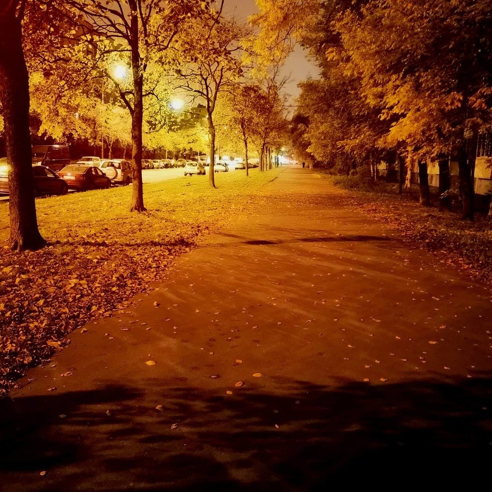 Photograph by Ольга Темкина