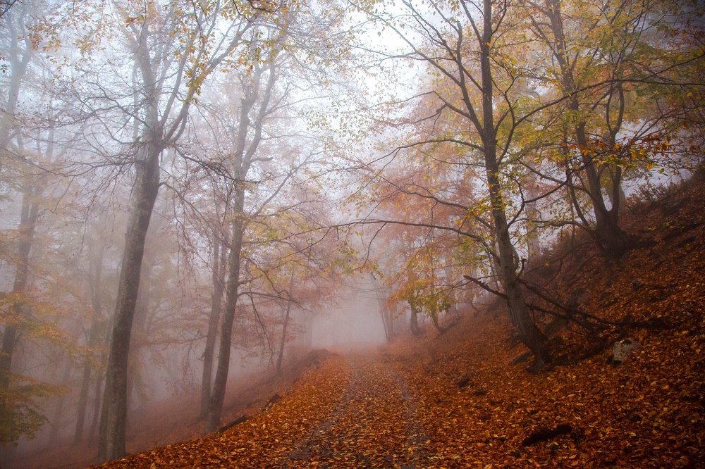 Photograph by Пекшева Светлана