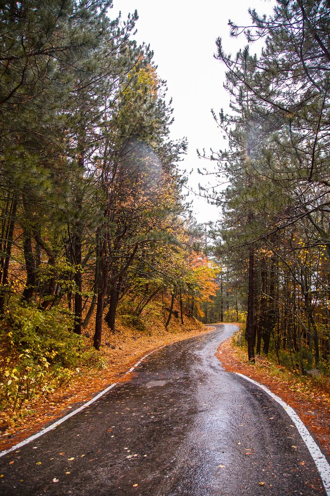 Photograph by Пекшева Светлана