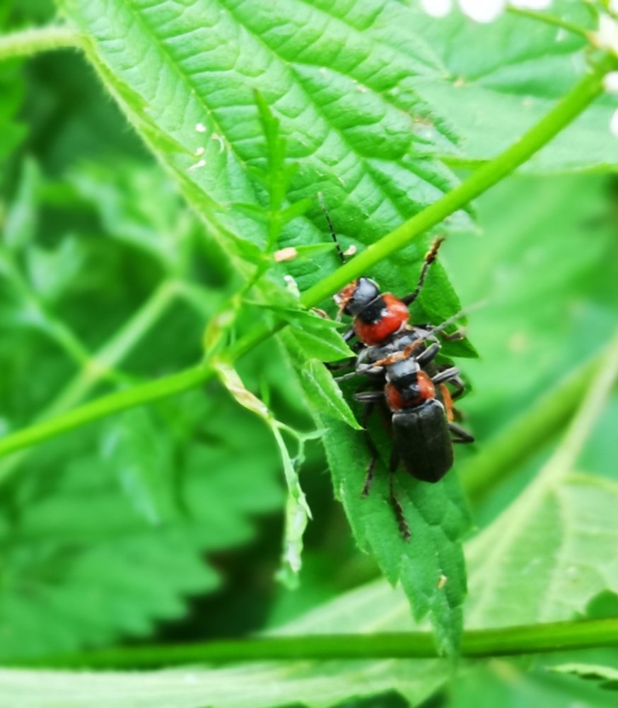 Photograph by Ольга Темкина