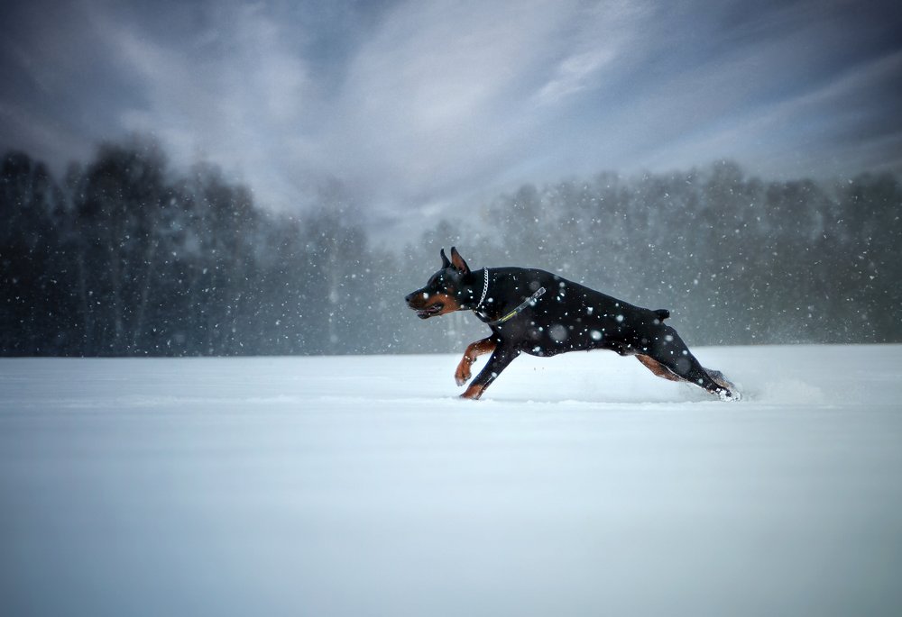 Photograph by Анатолий Брагин