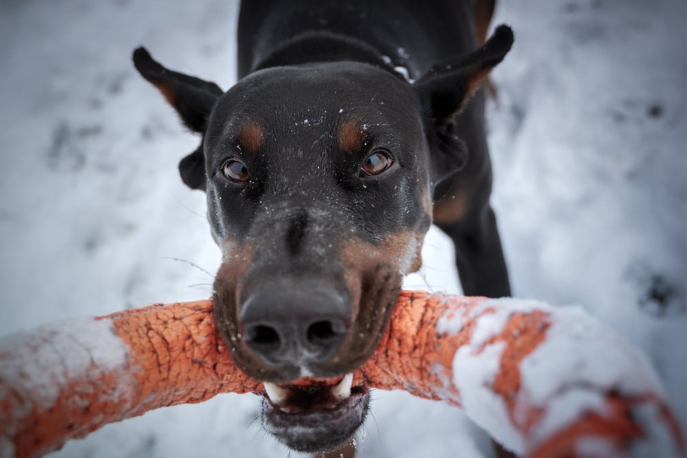 Photograph by Анатолий Брагин