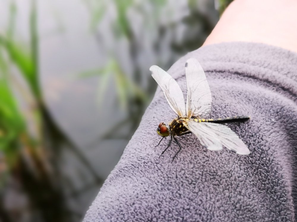 Photograph by Ольга Темкина