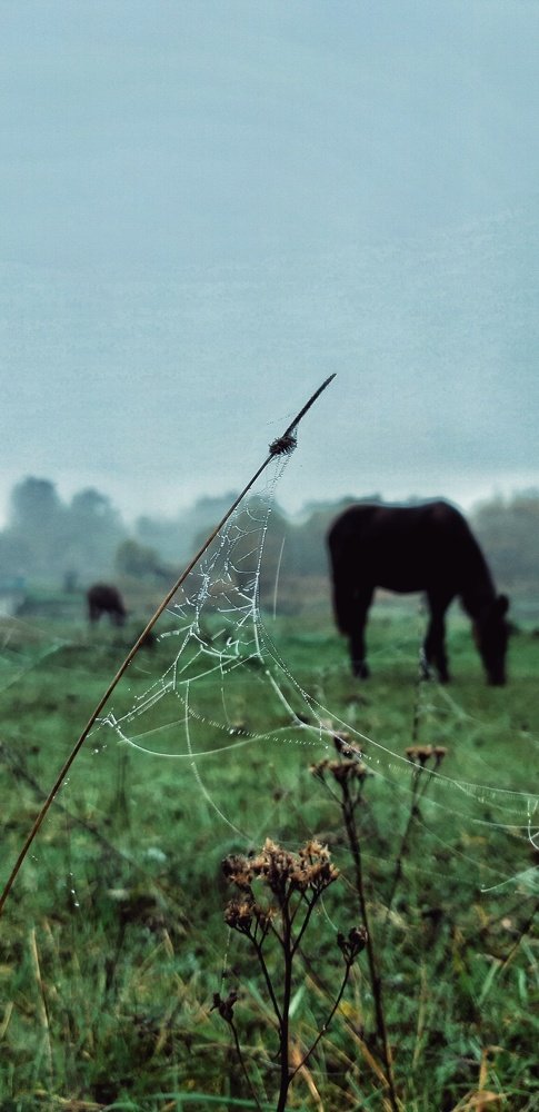 Photograph by Вика Крючёк