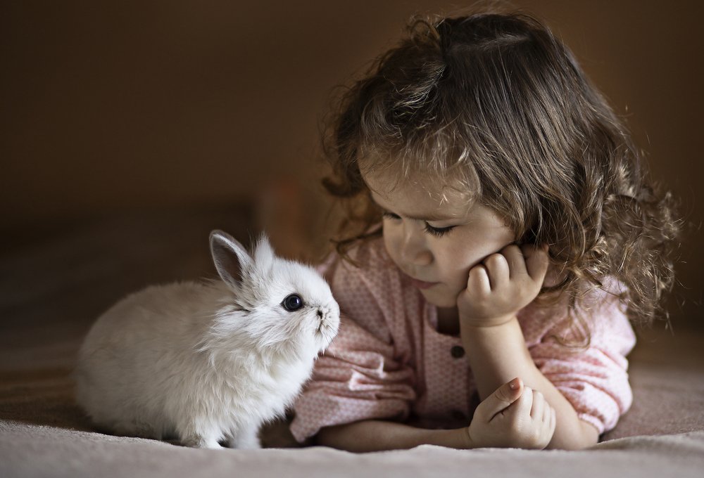 Photograph by Ирина Емашева