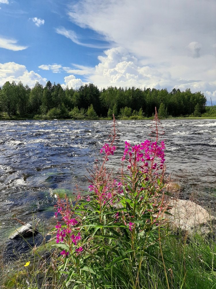 Photograph by Алина Голубева