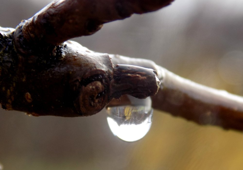 Photograph by Валентина Смирнова