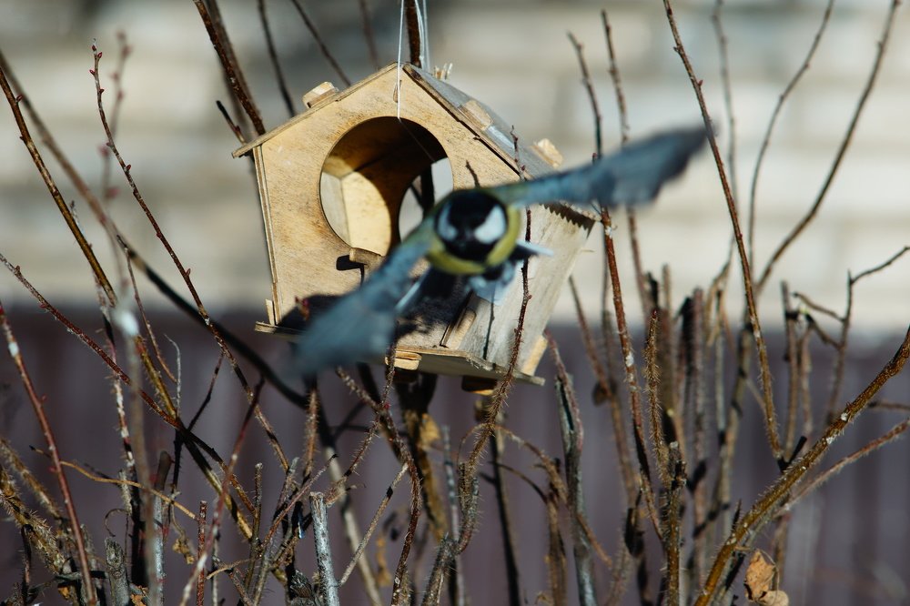 Photograph by Александр Кизим