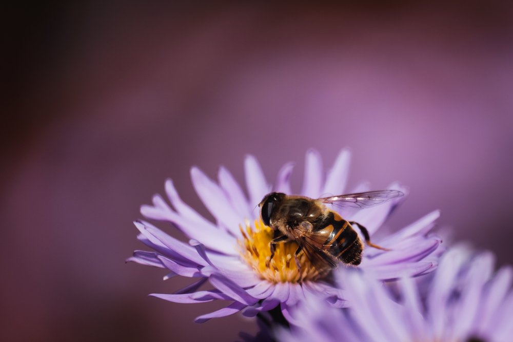 Photograph by Алексей Баженов