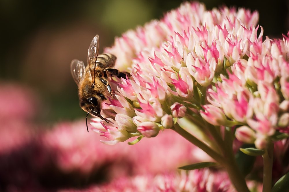 Photograph by Алексей Баженов